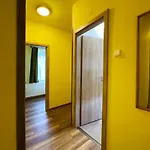 Irisz Panzio 3*